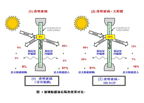 Application Prospect of Building Film
